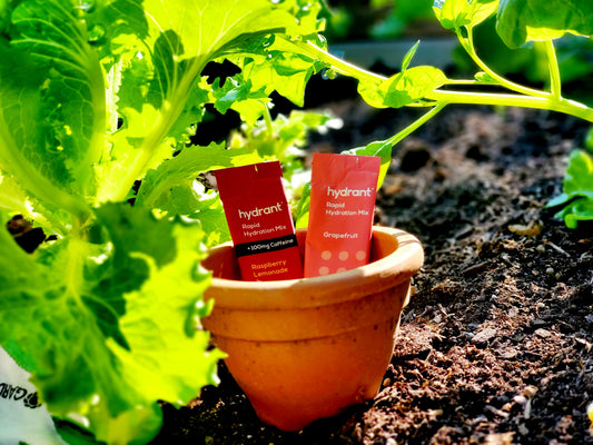 How to stay hydrated gardening