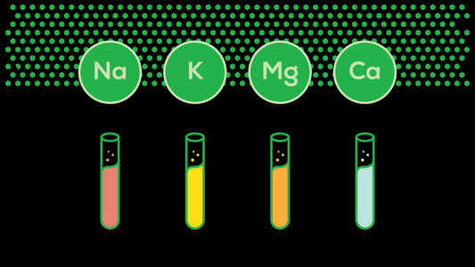 Sodium, magnesium, calcium and potassium are all essential electrolytes for any diet, including keto.